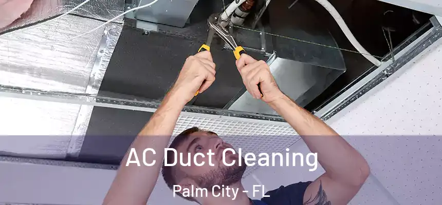  AC Duct Cleaning Palm City - FL