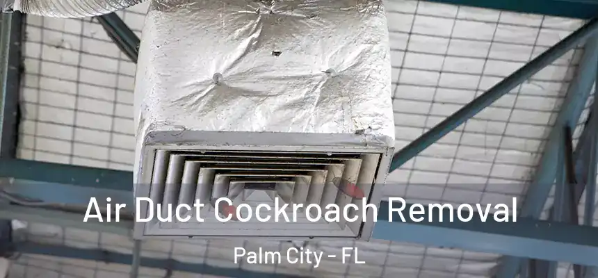  Air Duct Cockroach Removal Palm City - FL