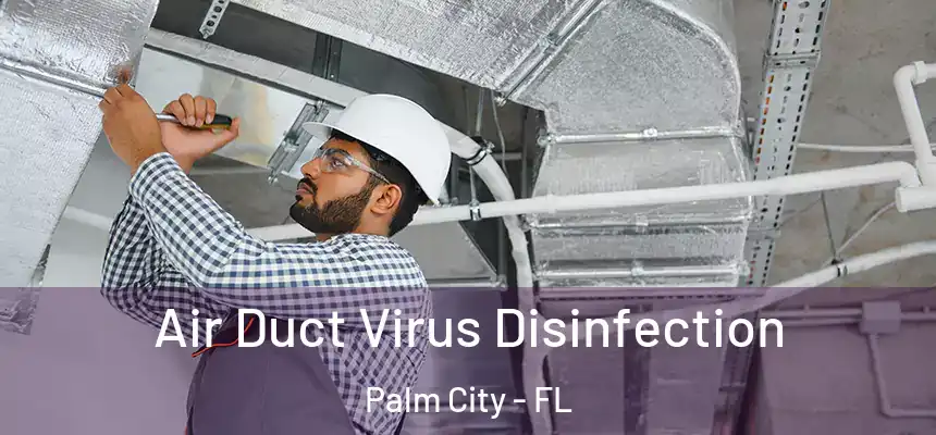  Air Duct Virus Disinfection Palm City - FL