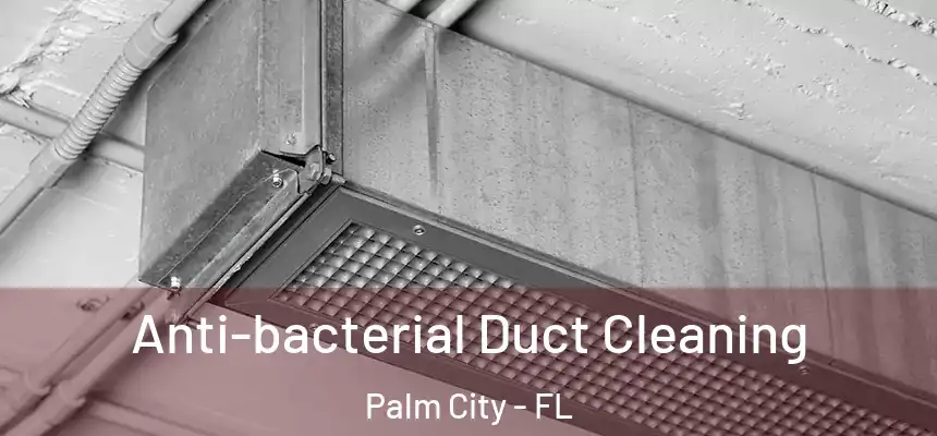  Anti-bacterial Duct Cleaning Palm City - FL