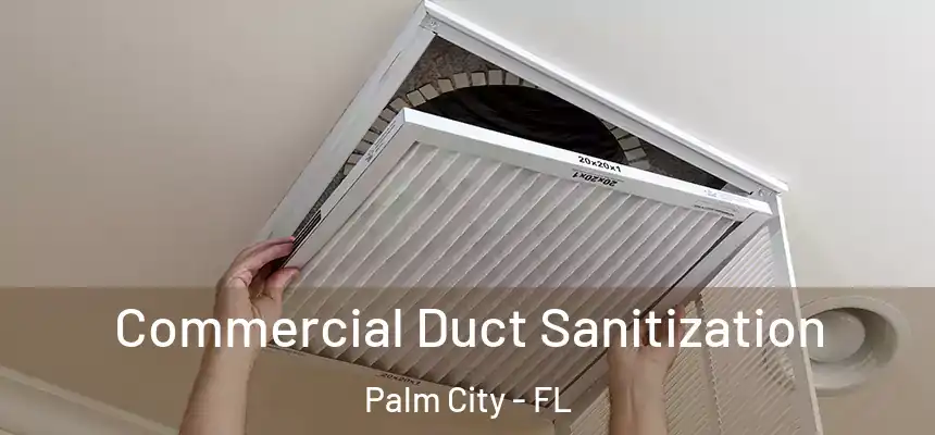 Commercial Duct Sanitization Palm City - FL