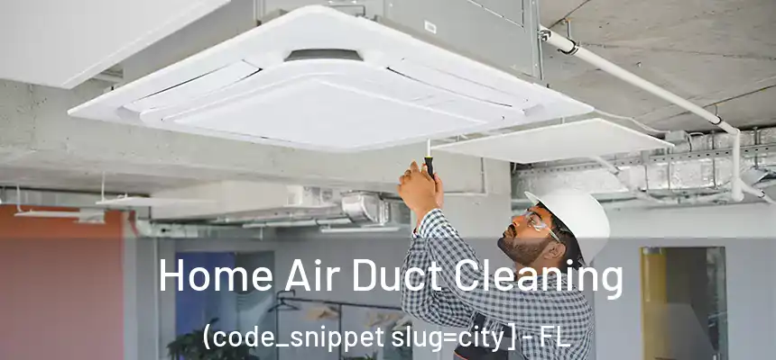  Home Air Duct Cleaning (code_snippet slug=city] - FL