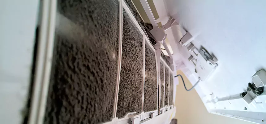 Preventive Air Duct Bacteria Removal in Palm City