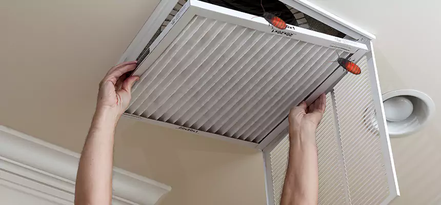 Preventive Cockroach-Proofing for Ducts in Palm City