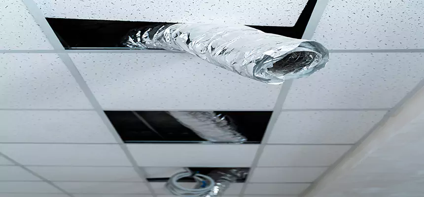 Our Air Duct Pet Hair Removal Services in Palm City, FL