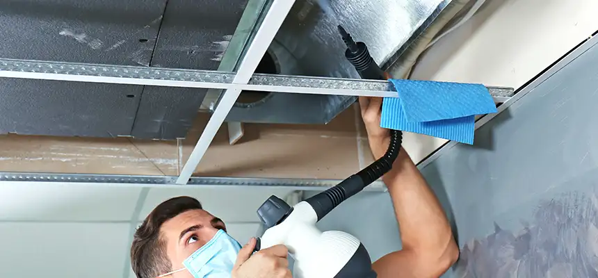 Our Air Duct Rodent Removal Services in Palm City, FL