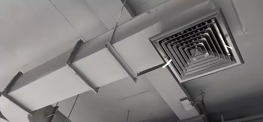 Restorative Allergy Relief Vent Cleaning – Coil, Blower & Housing Detail in Palm City