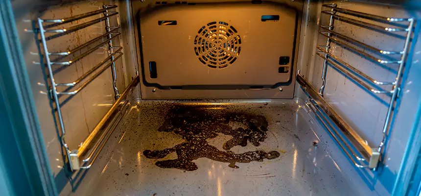 Our Dryer Vent Mold Cleaning Services in Palm City, FL