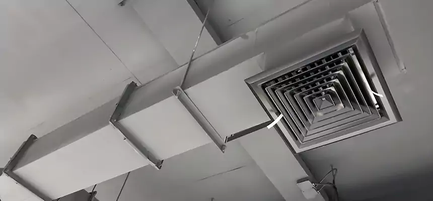 Our Rodent Droppings In Vents Services in Palm City, FL