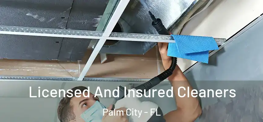  Licensed And Insured Cleaners Palm City - FL