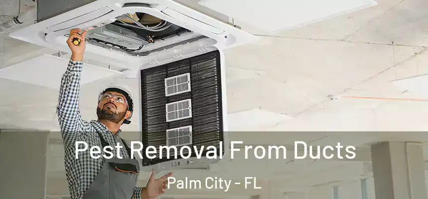  Pest Removal From Ducts Palm City - FL