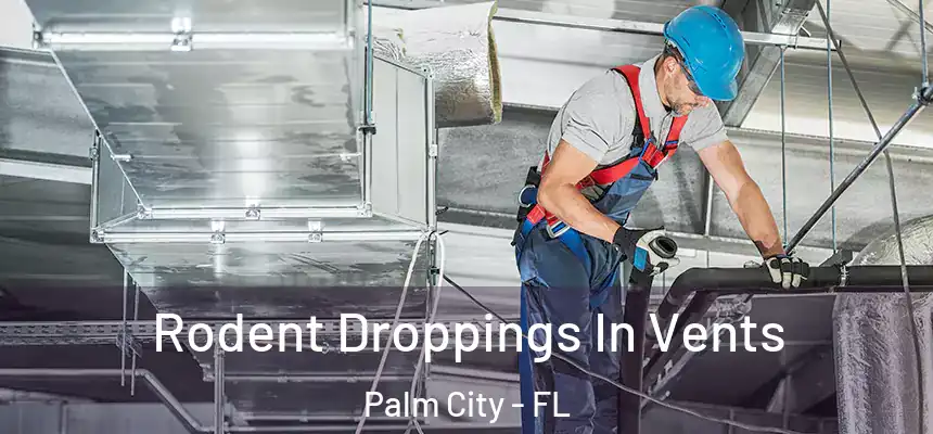  Rodent Droppings In Vents Palm City - FL