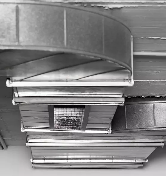 Professional Air Duct Pet Hair Removal in Palm City, FL