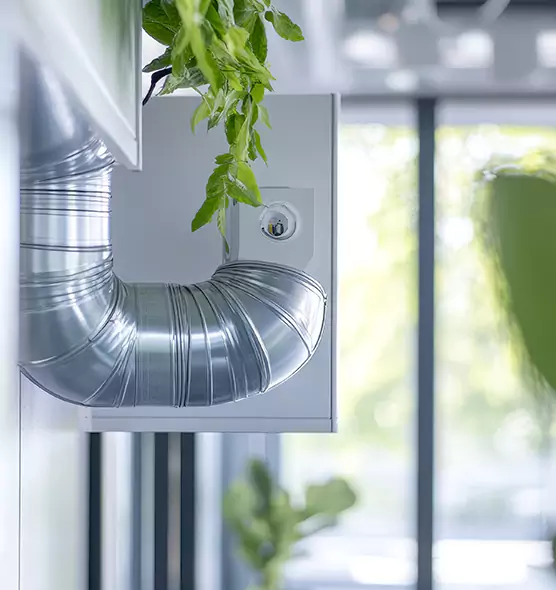 Professional Eco-Friendly Duct Cleaning Services in Palm City, FL