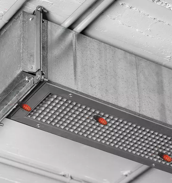 Affordable Insect Removal from Air Ducts in Palm City, FL