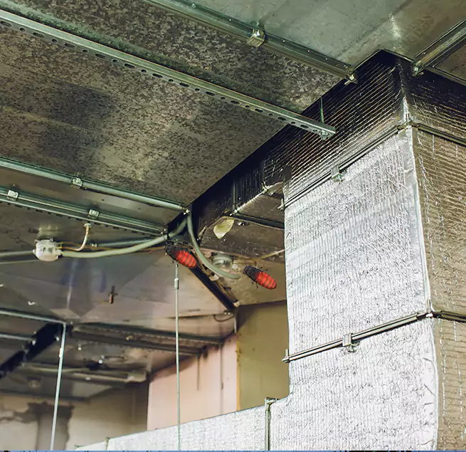 Why Homeowners & Businesses Trust Us in Palm City, FL?