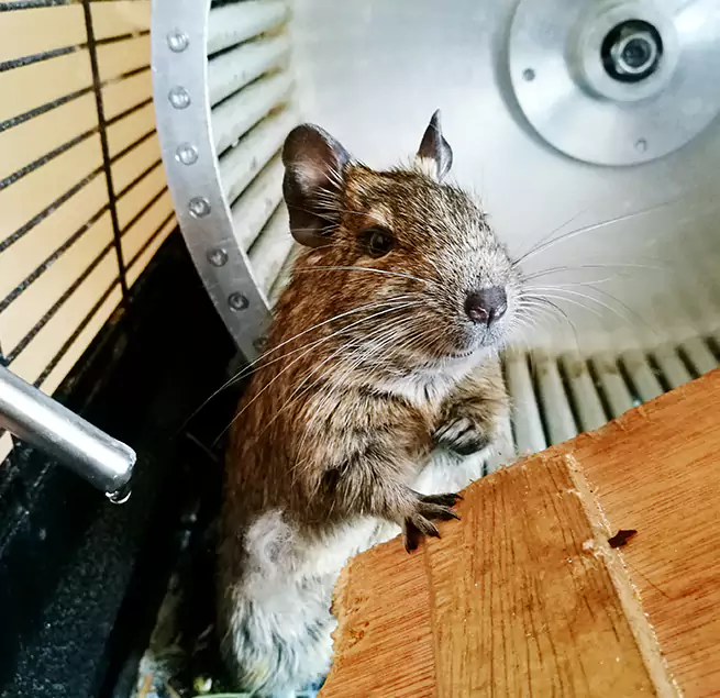 Why Homeowners & Businesses Trust Us Palm City, FL?