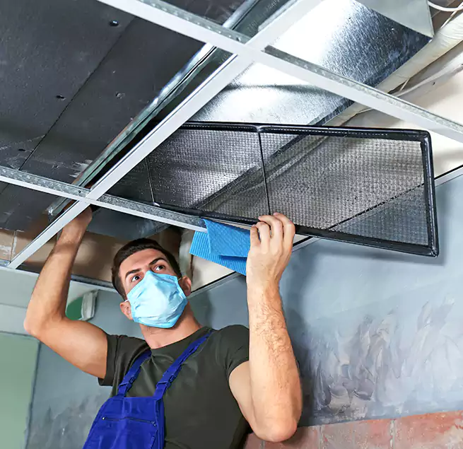 Why Homeowners Businesses Trust Us in Palm City, FL