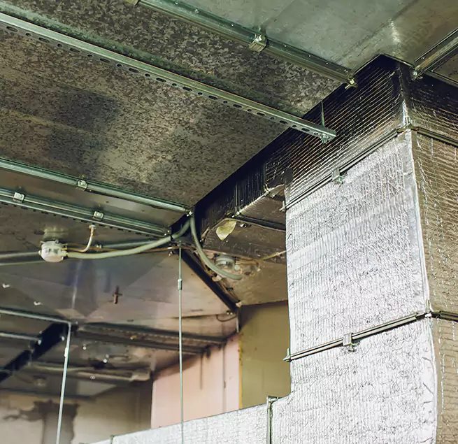 Why Homeowners & Businesses Trust Us in Palm City, FL?